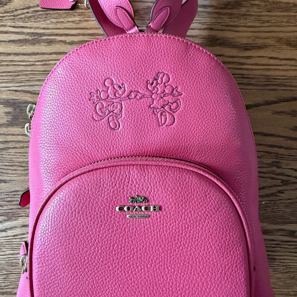 Coach Fuchsia Leather Backpack